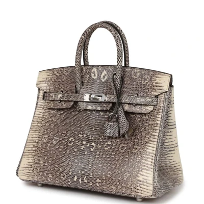 Hermes Birkin 25 Ombre Varanus Salvator Lizard Palladium Hardware Hermes Birkin 25 Ombre Varanus Salvator Lizard Palladium Hardware