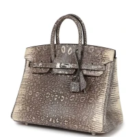 Hermes Birkin 25 Ombre Varanus Salvator Lizard Palladium Hardware Hermes Birkin 25 Ombre Varanus Salvator Lizard Palladium Hardware