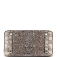Hermes Birkin 25 Ombre Varanus Salvator Lizard Palladium Hardware Hermes Birkin 25 Ombre Varanus Salvator Lizard Palladium Hardware