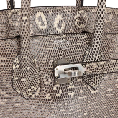 Hermes Birkin 25 Ombre Varanus Salvator Lizard Palladium Hardware Hermes Birkin 25 Ombre Varanus Salvator Lizard Palladium Hardware