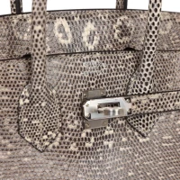 Hermes Birkin 25 Ombre Varanus Salvator Lizard Palladium Hardware Hermes Birkin 25 Ombre Varanus Salvator Lizard Palladium Hardware
