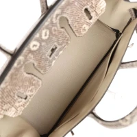 Hermes Birkin 25 Ombre Varanus Salvator Lizard Palladium Hardware Hermes Birkin 25 Ombre Varanus Salvator Lizard Palladium Hardware