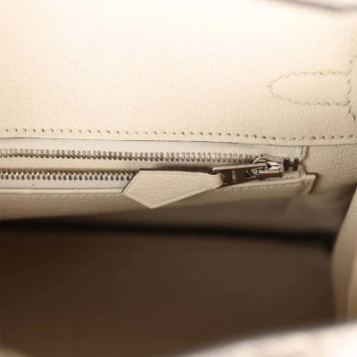Hermes Birkin 25 Ombre Varanus Salvator Lizard Palladium Hardware Hermes Birkin 25 Ombre Varanus Salvator Lizard Palladium Hardware