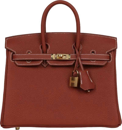 Hermes Birkin 25 Sienne Togo Gold Hardware Hermes Birkin 25 Sienne Togo Gold Hardware