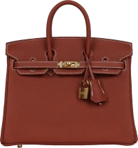 Hermes Birkin 25 Sienne Togo Gold Hardware Hermes Birkin 25 Sienne Togo Gold Hardware