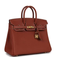 Hermes Birkin 25 Sienne Togo Gold Hardware Hermes Birkin 25 Sienne Togo Gold Hardware