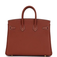 Hermes Birkin 25 Sienne Togo Gold Hardware Hermes Birkin 25 Sienne Togo Gold Hardware