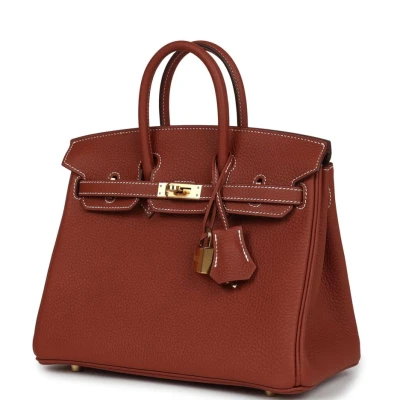 Hermes Birkin 25 Sienne Togo Gold Hardware Hermes Birkin 25 Sienne Togo Gold Hardware