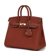 Hermes Birkin 25 Sienne Togo Gold Hardware Hermes Birkin 25 Sienne Togo Gold Hardware