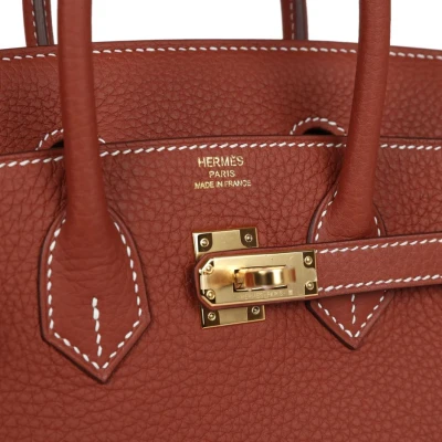 Hermes Birkin 25 Sienne Togo Gold Hardware Hermes Birkin 25 Sienne Togo Gold Hardware
