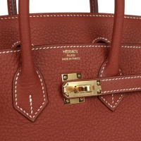 Hermes Birkin 25 Sienne Togo Gold Hardware Hermes Birkin 25 Sienne Togo Gold Hardware
