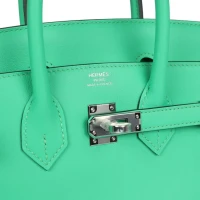Hermes Birkin 25 Vert Comics Swift Palladium Hardware Hermes Birkin 25 Vert Comics Swift Palladium Hardware