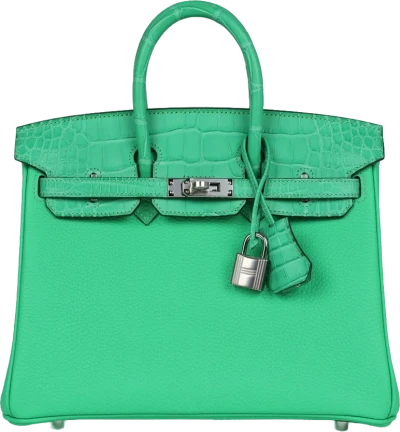 Hermes Birkin 25 Vert Comics Togo and Matte Alligator Touch Palladium Hardware Hermes Birkin 25 Vert Comics Togo and Matte Alligator Touch Palladium Hardware