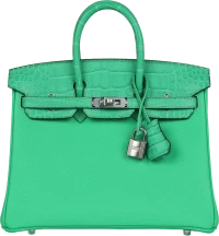 Hermes Birkin 25 Vert Comics Togo and Matte Alligator Touch Palladium Hardware Hermes Birkin 25 Vert Comics Togo and Matte Alligator Touch Palladium Hardware