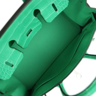 Hermes Birkin 25 Vert Comics Togo and Matte Alligator Touch Palladium Hardware Hermes Birkin 25 Vert Comics Togo and Matte Alligator Touch Palladium Hardware