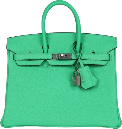 Hermes Birkin 25 Vert Comics Togo Palladium Hardware Hermes Birkin 25 Vert Comics Togo Palladium Hardware