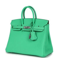 Hermes Birkin 25 Vert Comics Togo Palladium Hardware Hermes Birkin 25 Vert Comics Togo Palladium Hardware