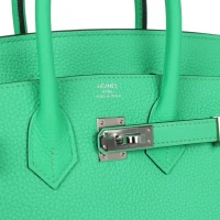 Hermes Birkin 25 Vert Comics Togo Palladium Hardware Hermes Birkin 25 Vert Comics Togo Palladium Hardware