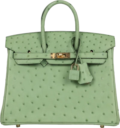 Hermes Birkin 25 Vert Criquet Ostrich Gold Hardware Hermes Birkin 25 Vert Criquet Ostrich Gold Hardware