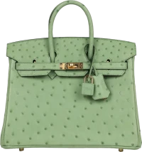 Hermes Birkin 25 Vert Criquet Ostrich Gold Hardware Hermes Birkin 25 Vert Criquet Ostrich Gold Hardware