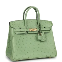 Hermes Birkin 25 Vert Criquet Ostrich Gold Hardware Hermes Birkin 25 Vert Criquet Ostrich Gold Hardware