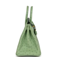 Hermes Birkin 25 Vert Criquet Ostrich Gold Hardware Hermes Birkin 25 Vert Criquet Ostrich Gold Hardware