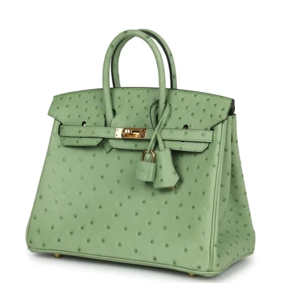 Hermes Birkin 25 Vert Criquet Ostrich Gold Hardware Hermes Birkin 25 Vert Criquet Ostrich Gold Hardware