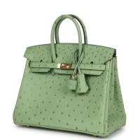 Hermes Birkin 25 Vert Criquet Ostrich Gold Hardware Hermes Birkin 25 Vert Criquet Ostrich Gold Hardware