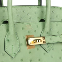 Hermes Birkin 25 Vert Criquet Ostrich Gold Hardware Hermes Birkin 25 Vert Criquet Ostrich Gold Hardware