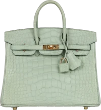 Hermes Birkin 25 Vert D'Eau Matte Alligator Gold Hardware Hermes Birkin 25 Vert D'Eau Matte Alligator Gold Hardware