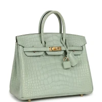 Hermes Birkin 25 Vert D'Eau Matte Alligator Gold Hardware Hermes Birkin 25 Vert D'Eau Matte Alligator Gold Hardware