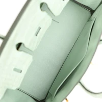 Hermes Birkin 25 Vert D'Eau Matte Alligator Gold Hardware Hermes Birkin 25 Vert D'Eau Matte Alligator Gold Hardware