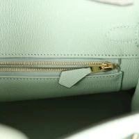 Hermes Birkin 25 Vert D'Eau Matte Alligator Gold Hardware Hermes Birkin 25 Vert D'Eau Matte Alligator Gold Hardware