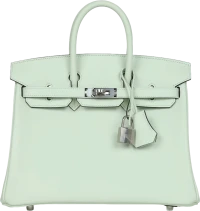 Hermes Birkin 25 Vert Fizz Swift Palladium Hardware Hermes Birkin 25 Vert Fizz Swift Palladium Hardware