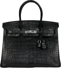 Hermes Birkin 30 Black Matte Alligator Palladium Hardware Hermes Birkin 30 Black Matte Alligator Palladium Hardware