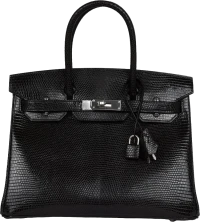 Hermes Birkin 30 Black Niloticus Lizard Palladium Hardware Hermes Birkin 30 Black Niloticus Lizard Palladium Hardware