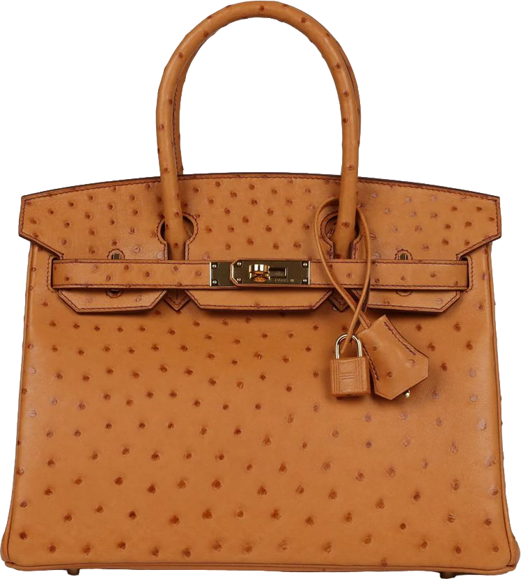 Hermes Birkin 30 Gold Ostrich Gold Hardware