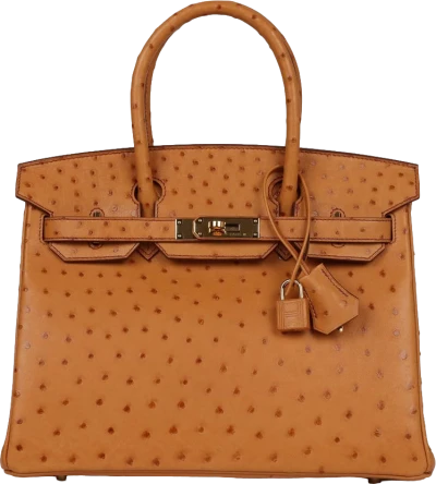 Hermes Birkin 30 Gold Ostrich Gold Hardware Hermes Birkin 30 Gold Ostrich Gold Hardware