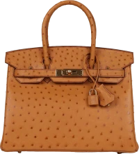 Hermes Birkin 30 Gold Ostrich Gold Hardware Hermes Birkin 30 Gold Ostrich Gold Hardware