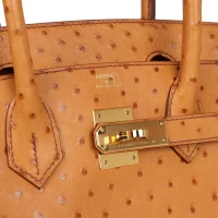 Hermes Birkin 30 Gold Ostrich Gold Hardware Hermes Birkin 30 Gold Ostrich Gold Hardware