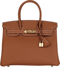 Hermes Birkin 30 Gold Togo Gold Hardware Hermes Birkin 30 Gold Togo Gold Hardware