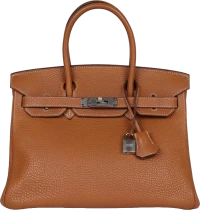 Hermes Birkin 30 Gold Togo Palladium Hardware Hermes Birkin 30 Gold Togo Palladium Hardware