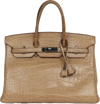 Hermes Birkin 35 Poussiere Matte Alligator Palladium Hardware Hermes Birkin 35 Poussiere Matte Alligator Palladium Hardware