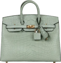 Hermes Birkin Sellier 20 Vert D'eau Matte Alligator Gold Hardware Hermes Birkin Sellier 20 Vert D'eau Matte Alligator Gold Hardware