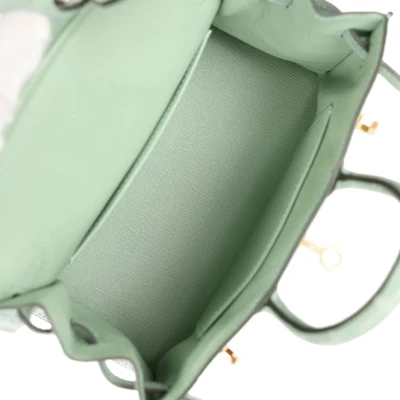 Hermes Birkin Sellier 20 Vert D'eau Matte Alligator Gold Hardware Hermes Birkin Sellier 20 Vert D'eau Matte Alligator Gold Hardware