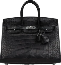 Hermes Birkin Sellier 25 Black Matte Alligator Palladium Hardware Hermes Birkin Sellier 25 Black Matte Alligator Palladium Hardware