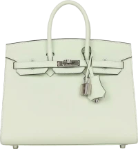 Hermes Birkin Sellier 25 Vert Fizz Epsom Palladium Hardware Hermes Birkin Sellier 25 Vert Fizz Epsom Palladium Hardware