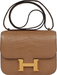 Hermes Constance 18 Chai Matte Alligator Gold Hardware Hermes Constance 18 Chai Matte Alligator Gold Hardware