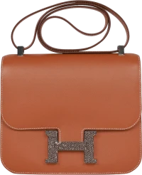 Hermes Constance 24 Gold Madame and Lizard Palladium Hardware Hermes Constance 24 Gold Madame and Lizard Palladium Hardware