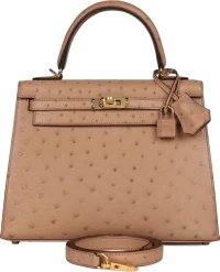 Hermes Kelly Sellier 25 Chai Ostrich Gold Hardware Hermes Kelly Sellier 25 Chai Ostrich Gold Hardware